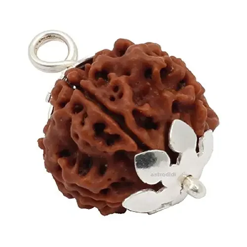 ASTRODIDI 6 Mukhi Nepali Rudraksha Mantra Siddha Six Face with Testing Certificate