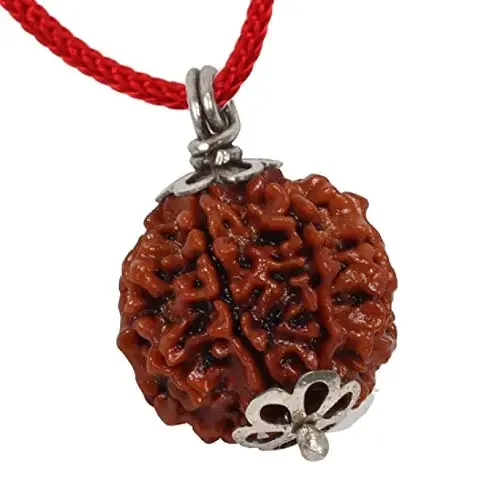 ASTRODIDI Rudraksha 4 Mukhi Nepali Pendant with Lab Report for Men and Women (Brown)