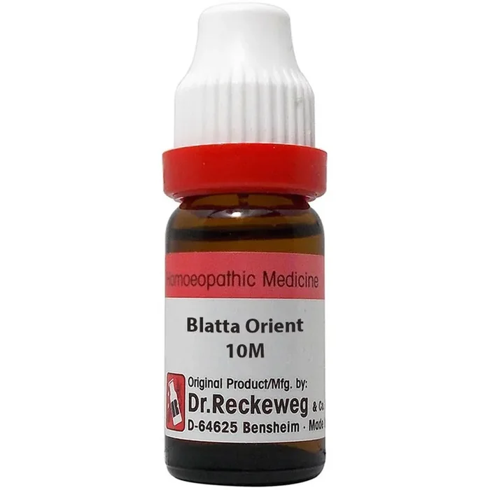 Dr. Reckeweg Blatta Ori. 10M (11gm)