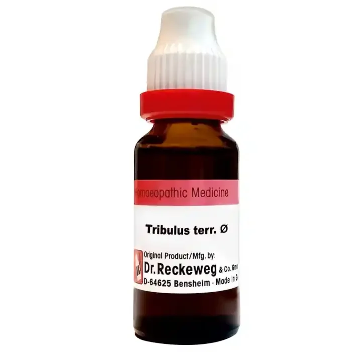 Dr. Reckeweg Tribulus Terr Q (20gm)