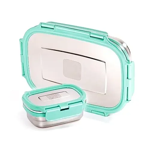 Dynore Stainless Steel Silicone Seal/Air Tight Lunch Box for Kids School Office 650 ml+150 ml with Small Veggie Container Inside 2 Compartment Tiffin Box