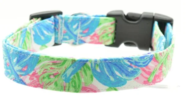 Large Dog Collar