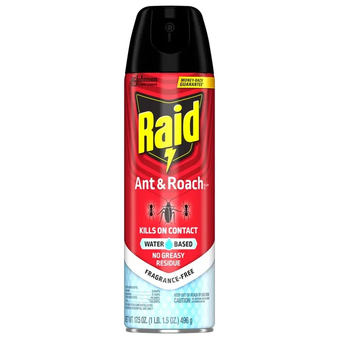 Raid Ant & Roach Indoor Bug Spray, Water-Based Aerosol Insecticide for home, 17.5 oz