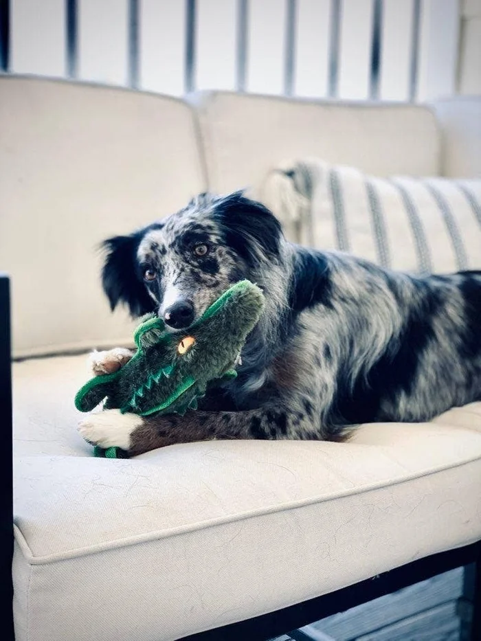 Ruffian Gator Dog Toy