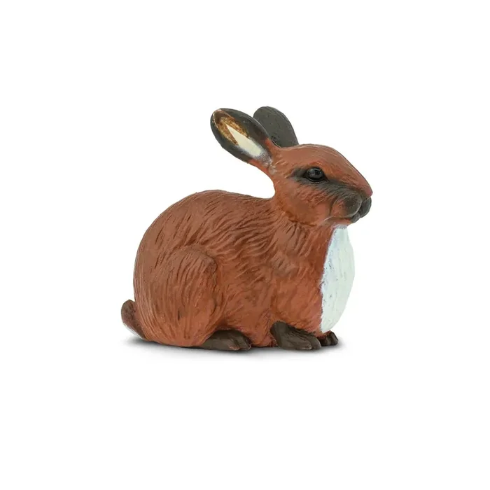Safr-Rabbit