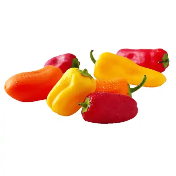 SUNSET Mini Sweet Pepper